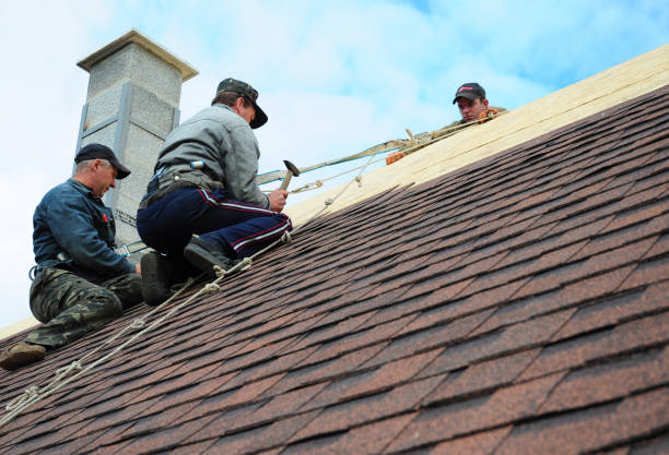 Best Roof Maintenance Services  in Sanborn, IA